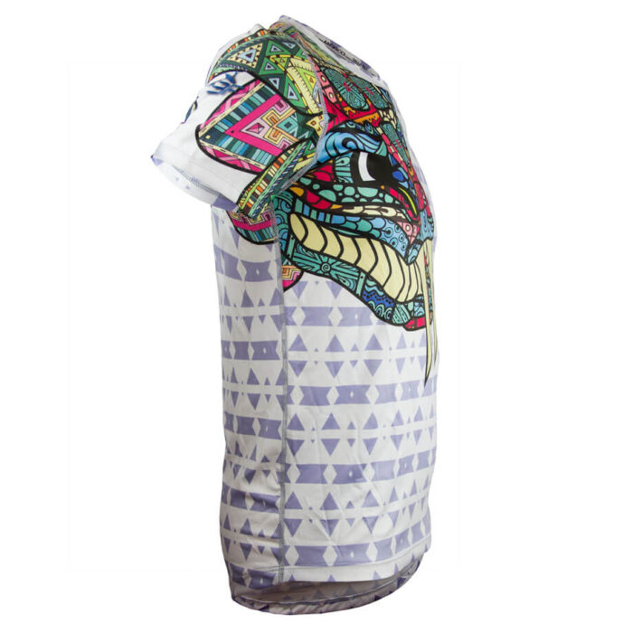 Mexico Quetza Lateral TriFerrari 3f Mexico Quetza Lateral TriFerrari 3f