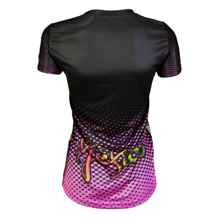 MARIACHIMX_PMMNV_POSTERIOR MARIACHIMX_PMMNV_POSTERIOR