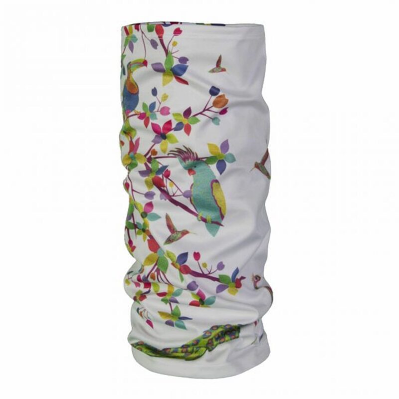 Tubular Hidalguense 3F