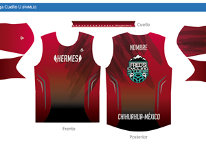 Playera Mujer Manga Larga Cuello U - Diseño E213